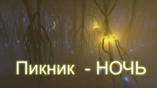 Пикник  -   НОЧЬ