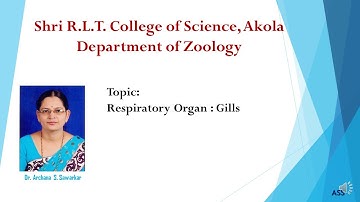 Respiratory organ : Gills