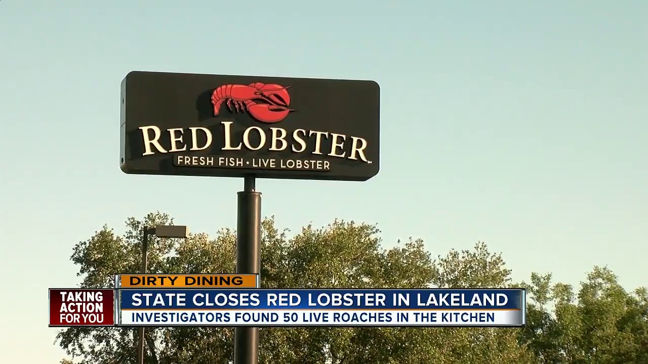 Dirty Dining Red Lobster shut down by inspectors for over 50 live