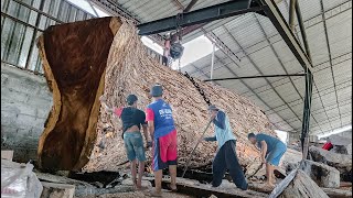 Worth 600 million full galley' Sulawesi forest trembesi wood sawed by sawmill solid board material