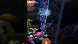 U video screenshot 4