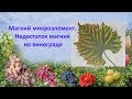 Магний микроэлемент  Недостаток магния на винограде