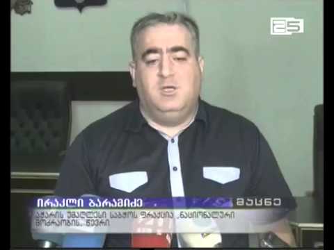 დეპუტატ მედეა ვასაძის თანამდებობიდან გადაყენების საკითხის პლენარული სხდომის