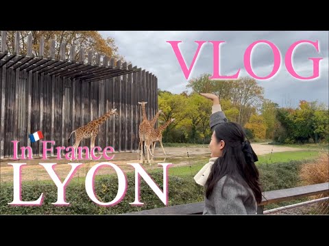[Voyage] 🇫🇷 리옹 당일치기 VLOG | 인생 젤라또 | 프랑스에도 곱창이? | FRANCE LYON