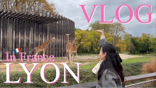[Voyage] 🇫🇷 리옹 당일치기 VLOG | 인생 젤라또 | 프랑스에도 곱창이? | FRANCE LYON