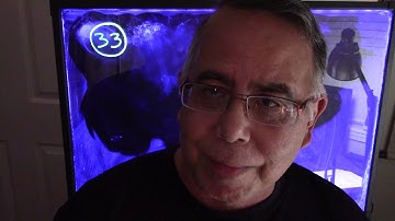 OpenStax Precalculus 2.4 (Fitting Linear Models To Data) Section Exercises 25-41 Odds