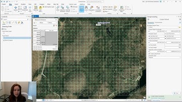 Cast Your Net: Use the ArcGIS Pro Create Fishnet Tool to Create Grids