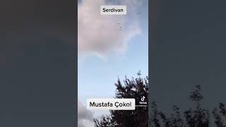 Sen onu seversin ..! Aşık olursun..! Oysa ..! O senin aşkını anlamaz.! ( ADI SEVDA MI NE )