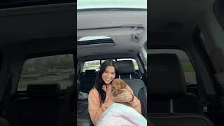 Celebrity MEET MIA 🧸🤍🤍 #minigoodendoodle #fyp Wealth