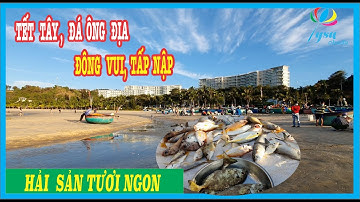 Ngon Lạ CHỢ HẢI SẢN ĐÁ ÔNG ĐỊA Phan Thiết|Tết Tây|Tết Dương Lịch 2022