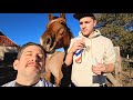 Best asmr haircut 2023 wbarber jerry  horse on kansas farm you will watch again 