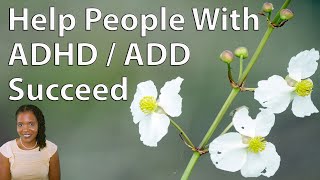 5 Tips To Help People With ADHD / ADD Succeed