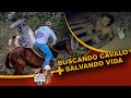 Buscando Cavalo Bruto + Salvando uma Vida no Mata-burro