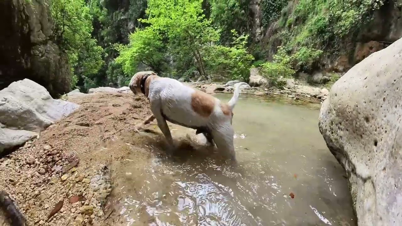 Mein Wasserfalltag – ein kleines Hundeabenteuer in Griechenland