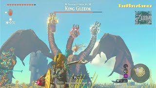 All King Gleeok Location : Zelda Tears of The Kingdom.