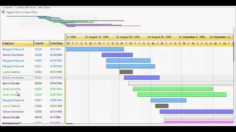Exontrol - ConditionalFormat - Bar/Task