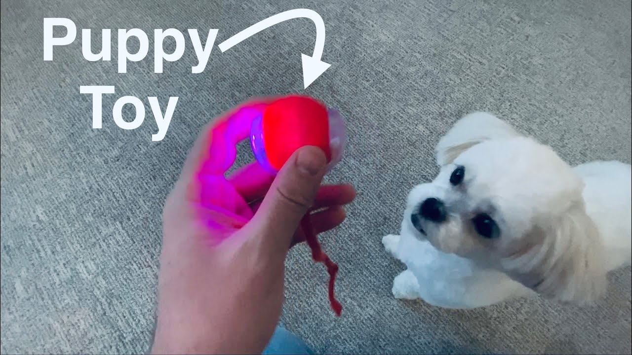 Puppy Toy | Small Breed Indoor Dog Toy