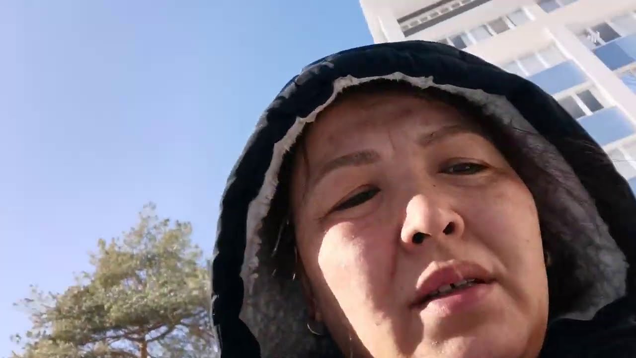 Шиндр мындр дзен последнее видео на дзене