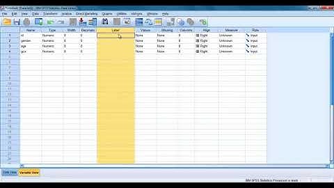 06- Medical statistics using SPSS (Lesson 6)