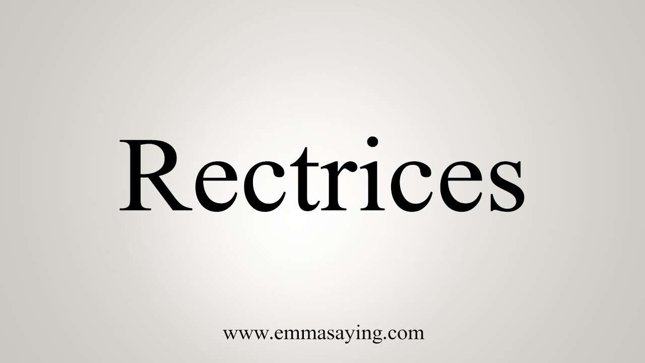 How To Say Rectrices YouTube
