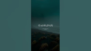 ما تيسر من سورة طه للقارئ محسن الدوسري