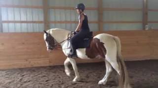 Cdhr Tinker Groom, Tack And Wt Ride At Bpb