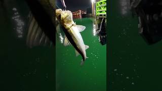 このリール大丈夫?