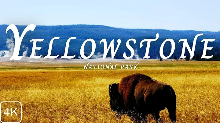 Yellowstone National Park 4k- Relaxation film with inspiring music