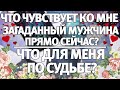 ЧТО ЧУВСТВУЕТ КО МНЕ ЗАГАДАННЫЙ МУЖЧИНА ПРЯМО СЕЙЧАС? ЧТО ДЛЯ МЕНЯ ПО СУДЬБЕ? ГАДАНИЕ НА ЛЮБОВЬ