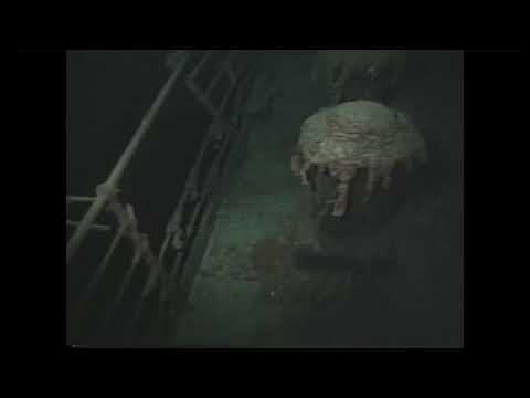 The First Dives To Titanic