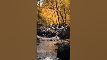 قرآن كريم | وفى السماء رزقكم وما توعدون | القارئ إسلام صبحي