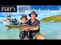 REMOTE BY BOAT - FINAL DAY EXPLORING UNTOUCHED REEF SYSTEMS OF FNQ