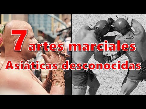 top 7 ARTES MARCIALES asiáticas guerreras ancestrales