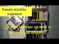 Какие ресницы выбрать(ходовые) для наращивания,какие длины,изгибы?Какие ресницы выбрать новичку?