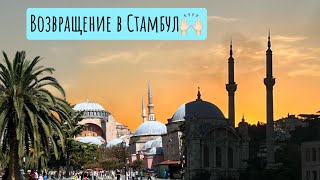 VLOG/ Возвращение в Стамбул/ Рум Тур, арт, ответы на вопросы🙌🏻