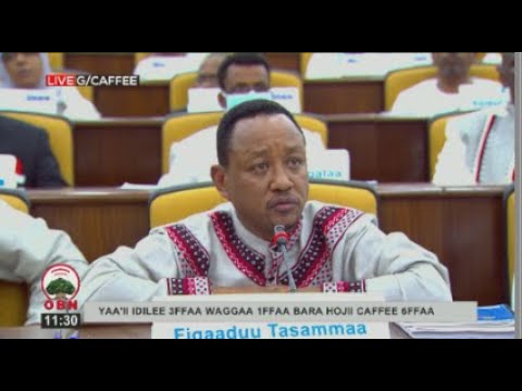 Obbo Fiqaaduu Tasammaa Caffee Oromiyaatti Bakka Bu Aa Mootummaa Deebii Kennan 