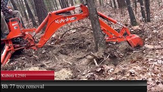 Kubota L2501 | compact tractor backhoe | tree Removal | BH 77