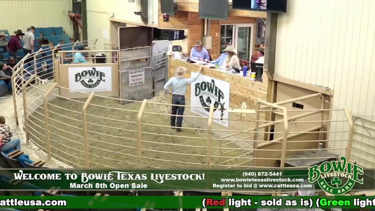 Bowie Texas Livestock March 8th Open Sale!