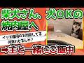 【2ch動物スレ】柴犬さん、犬ＯＫの焼肉屋へ連れて行ってもらうｗｗｗｗ