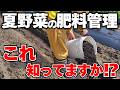 ナス・トマト・キュウリが爆成り!?家庭菜園での土つくりから追肥までの2つの施肥方法を図解します