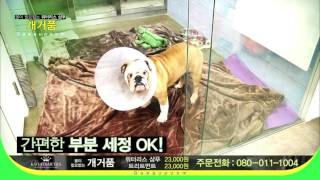 개거품 광고 동영상