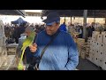 Тошкент қуш бозори: 25.12.2021Птичий рынок Ташкент||bird market of Tashkent