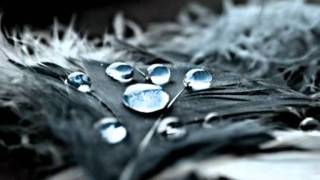 Depeche Mode..Question of Lust... with Lyrics