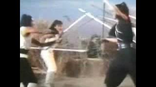 Chinese Super Ninjas: Earth Element Fight