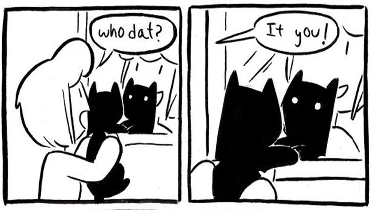 Comics By Lulu VanHoagland That Purrfectly Capture Life With Cats - YouTube