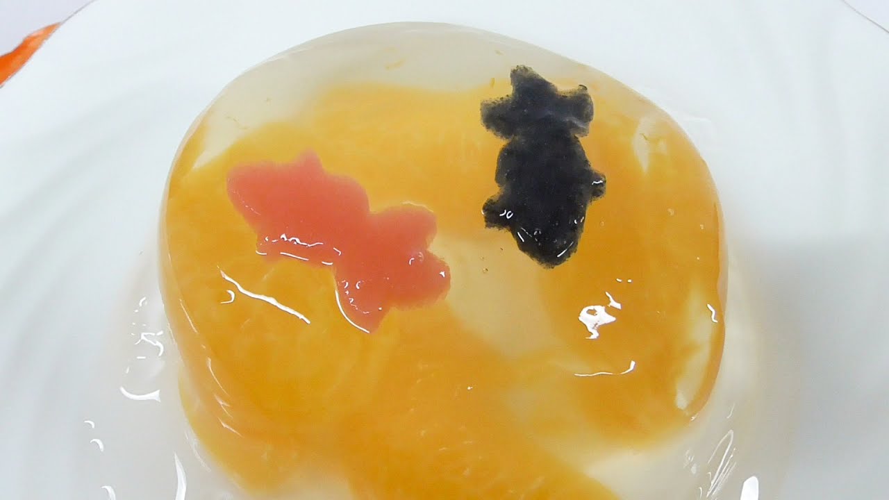 Goldfish jelly YouTube