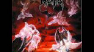 Immolation - Internal Decadence