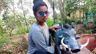 African wild boar 🐷 ആഫ്രിക്കൻ കാട്ടുപന്നി  വീട്ടിൽ വന്നപ്പോൾ😁😁😁