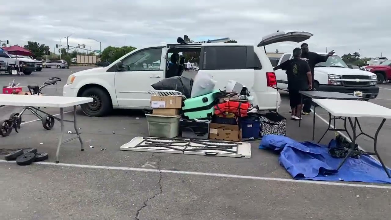 La pulga de los terrenos de la feria 