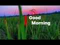 Good Morning My First Vlog Video Editing | Hello Dosto Like And Subscribe #firstvlog #videoediting 